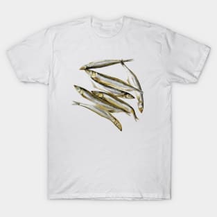 Sardines T-Shirt